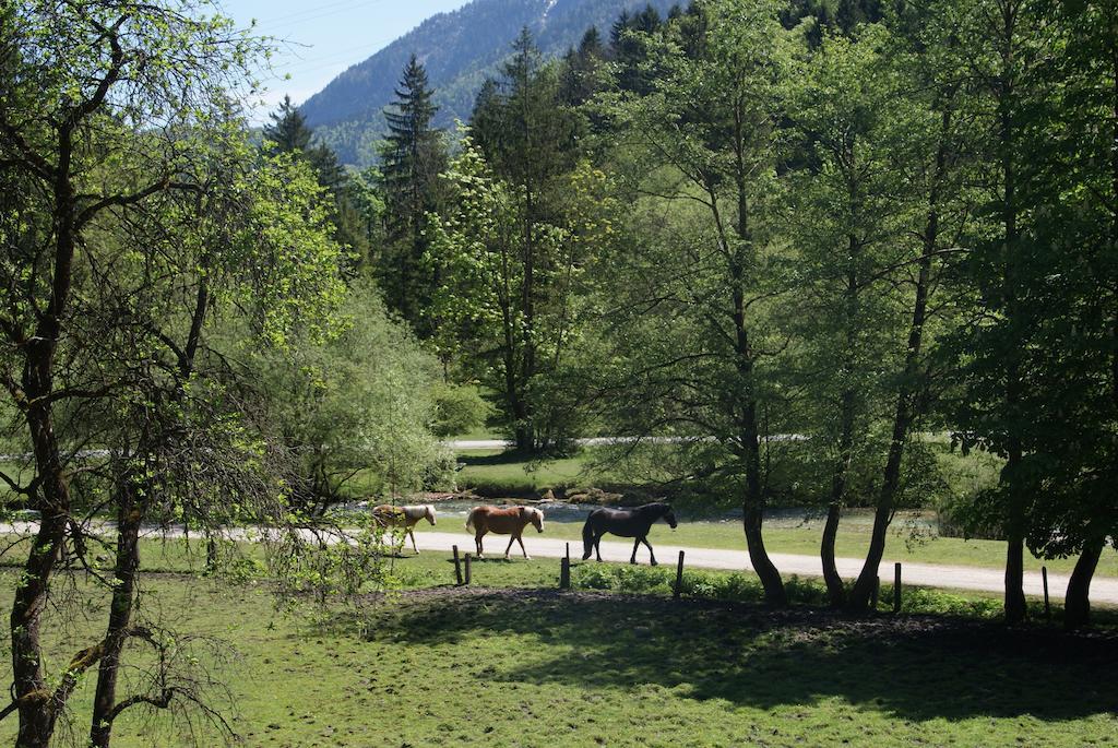 Ferienwohnung Bluntaumuehle Golling an der Salzach Szoba fotó